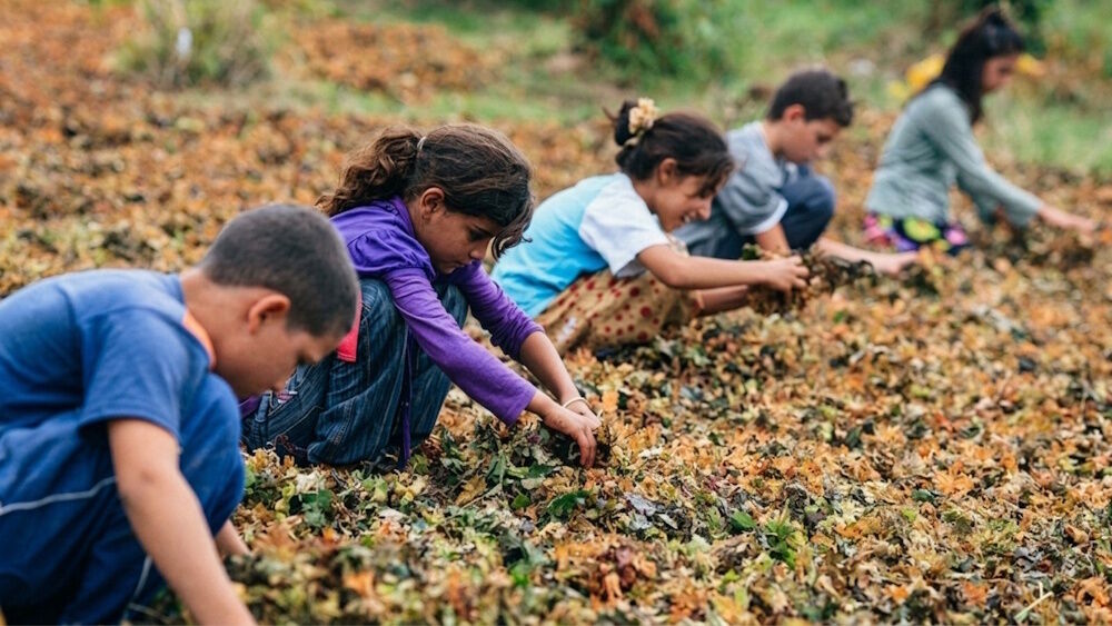Diyarbakır’da okullar açıldı, onlar hala gidemedi!