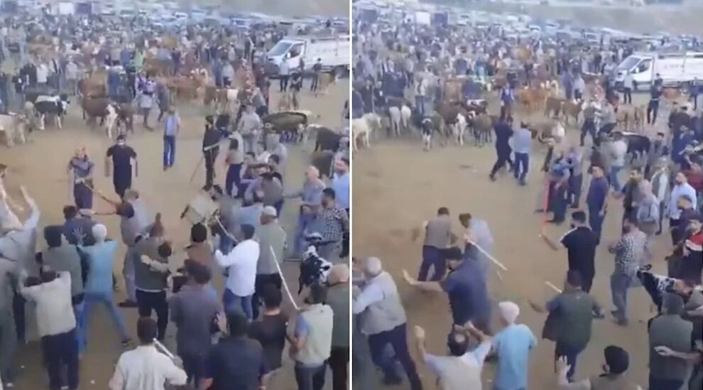 Diyarbakır hayvan pazarında kavga: Taş ve sopalarla birbirlerine girdiler!