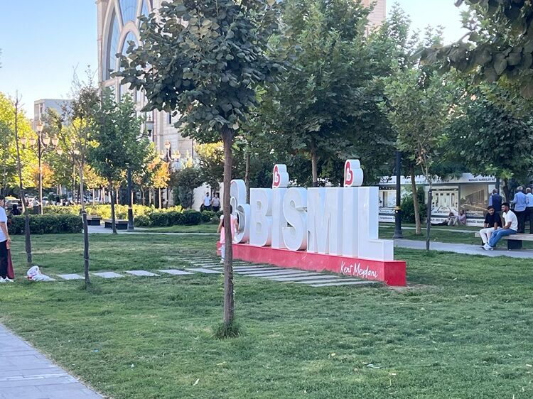 Diyarbakır’da Aile Gezisi Kabusa Döndü Tabelaya Dokunan Çocuk Hastanelik!-1