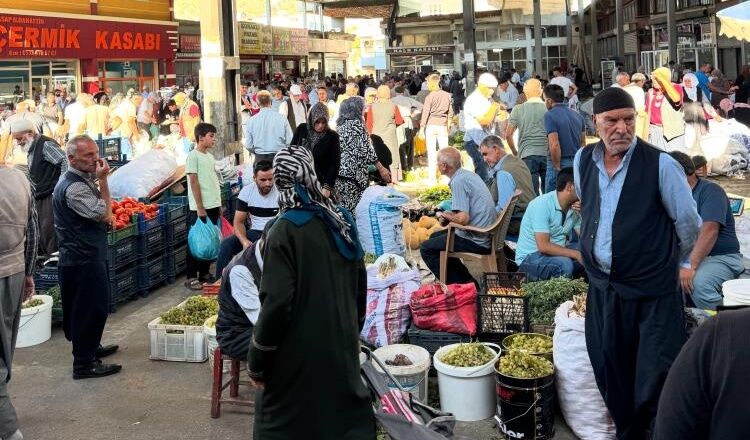 Diyarbakır'da pestil yapımına başlandı: İşte fiyatı