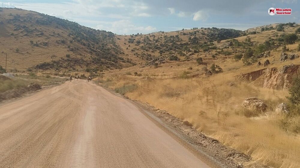 Diyarbakır’da ‘Karayolları’ çağrıya yanıt verdi: Sonunda o yol yapılıyor!