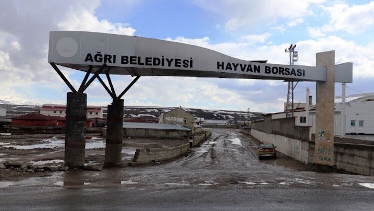 Ağrı Hayvan Pazarı Ağrı hayvan borsası 30 Gün Kapatıldı