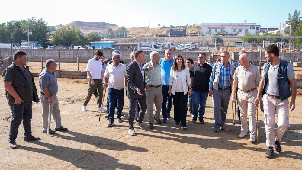 Diyarbakır’da 'Hayvan Pazarı' taşınıyor: Yeni yeri belli oldu, tarih verildi!