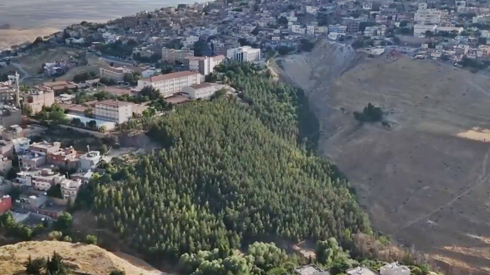 Diyarbakır’a kardeş şehirde tek başına çorak araziyi orman yaptı