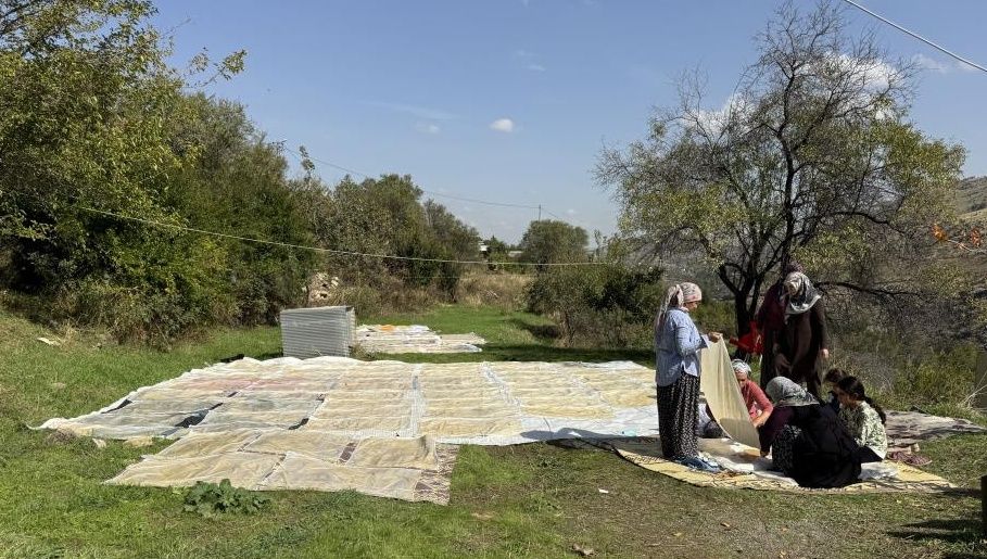 Diyarbakır'da bağ bozumu: Üzümler pestile dönüşüyor!