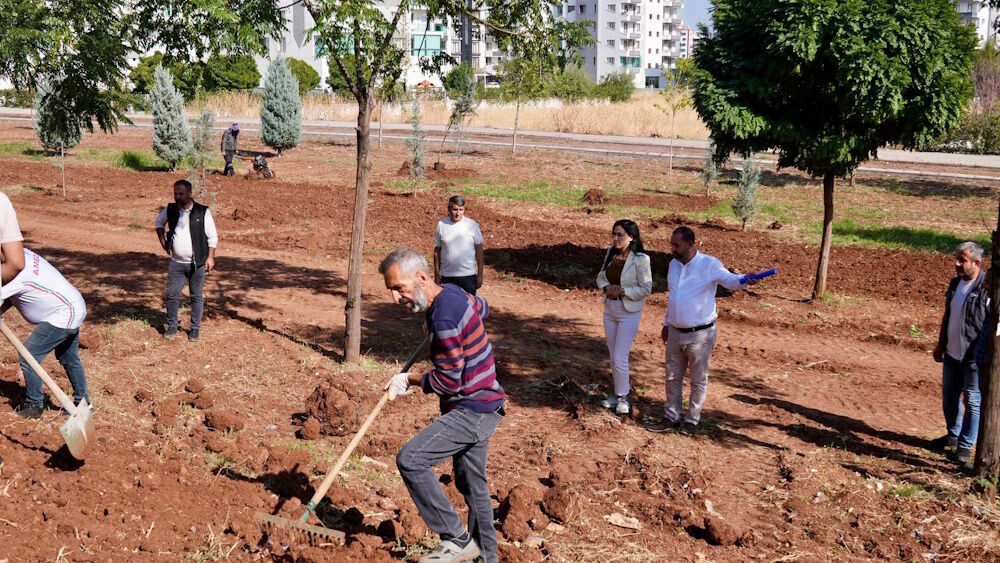 Diyarbakır’a yeni bir park yapıldı: İşte adresi