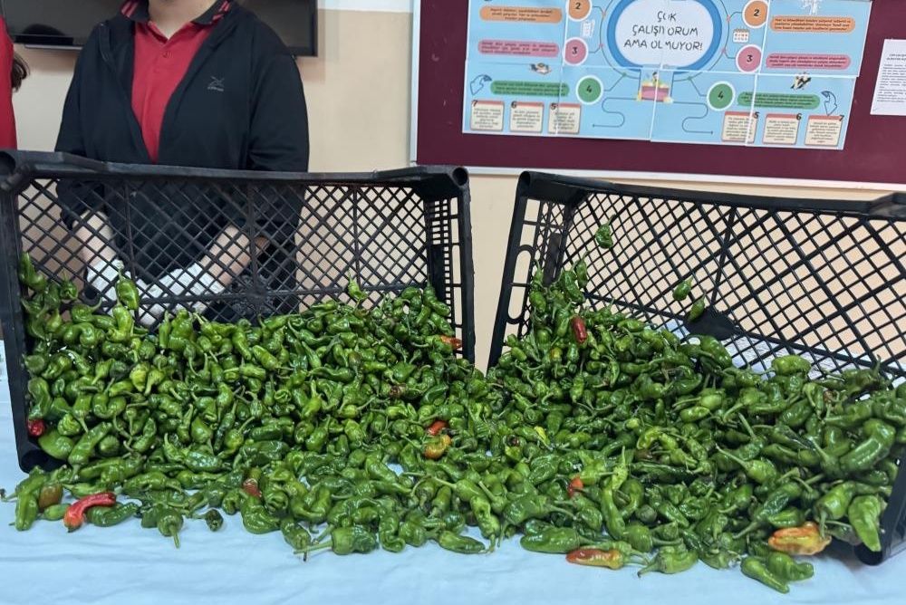 Tescilli Çermik biberi yarışmaya konu oldu: 41 çeşit yemek yaptılar